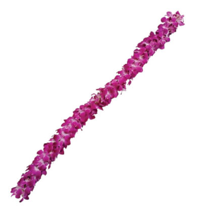 Garland  DB Galaxy