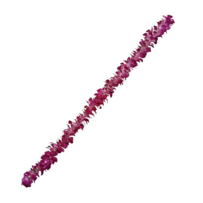 Garland SG Galaxy