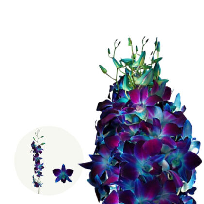 Galaxy Dyed Blue
