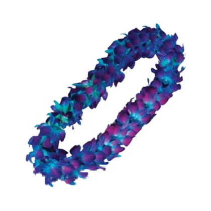 LEIS DB GLX B