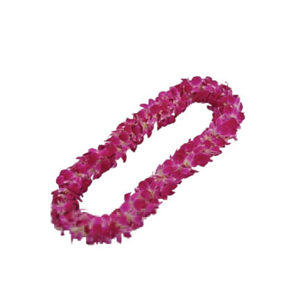 LEIS DB GLX