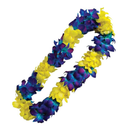 LEIS DB WHITE Y GLX B
