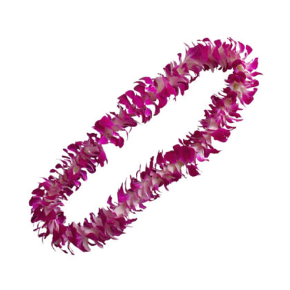 LEIS SG GLX