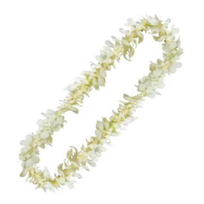 LEIS SG WHITE